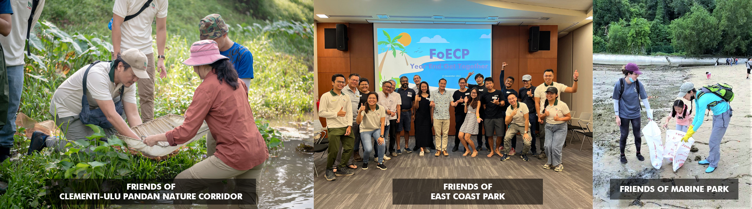 Volunteers working in nature, gathering indoors, and cleaning up a beach under banners for Clementi Nature Corridor, East Coast Park, and Marine Park.